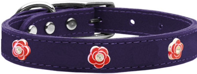 

Mirage Pet Products Dog Everyday Collar(, Purple