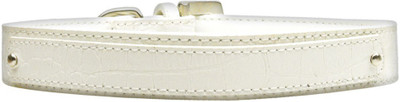 

Mirage Pet Products Dog Everyday Collar(, White