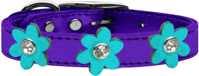 

Mirage Pet Products Dog Everyday Collar(, Purple