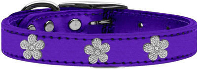 

Mirage Pet Products Dog Everyday Collar(, Purple