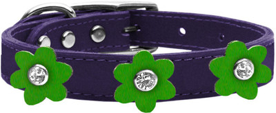

Mirage Pet Products Dog Everyday Collar(, Purple