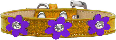 

Mirage Pet Products Dog Everyday Collar(, Purple