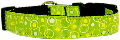 

Mirage Pet Products Dog Everyday Collar(, Lime Green