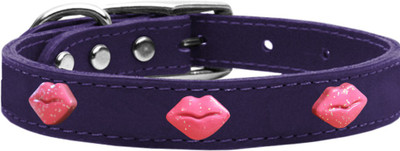 Mirage Pet Products Dog Everyday Collar(, Purple