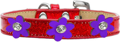 

Mirage Pet Products Dog Everyday Collar(, Purple