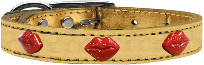 

Mirage Pet Products Dog Everyday Collar(, Gold
