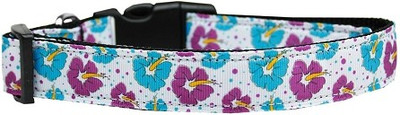 

Mirage Pet Products Dog Everyday Collar(, Purple