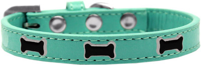 

Mirage Pet Products Dog Everyday Collar(, Aqua
