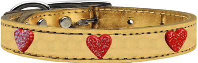 

Mirage Pet Products Dog Everyday Collar(, Gold