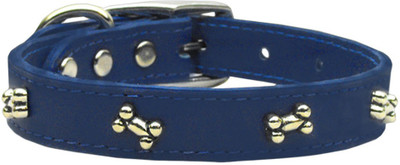 

Mirage Pet Products Dog Everyday Collar(, Blue