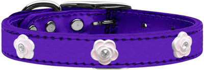 

Mirage Pet Products Dog Everyday Collar(, Purple