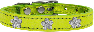 

Mirage Pet Products Dog Everyday Collar(, Lime Green