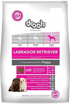 

drools Labrador Retriever Puppy Chicken 400 g Dry Dog Food