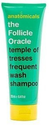 

Anatomicals The Follicle Oracle Shampoo(250 ml)