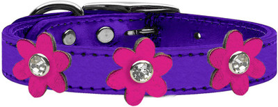

Mirage Pet Products Dog Everyday Collar(, Purple