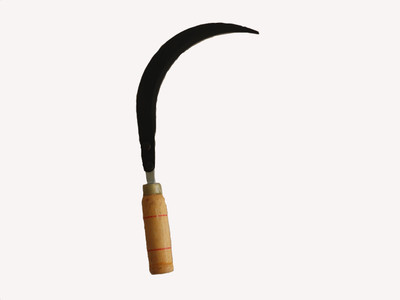 

Eagro care Ready to Use Weed Remover(0 ml)