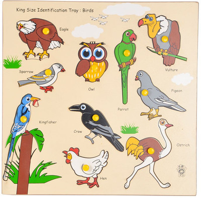 

Skillofun King Size Identification Tray Birds(Multicolor)