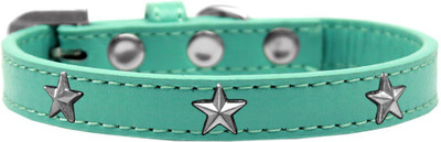 

Mirage Pet Products Dog Everyday Collar(, Aqua