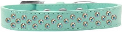 

Mirage Pet Products Dog Everyday Collar(, Aqua