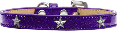 

Mirage Pet Products Dog Everyday Collar(, Purple