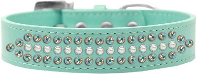 

Mirage Pet Products Dog Everyday Collar(, Aqua