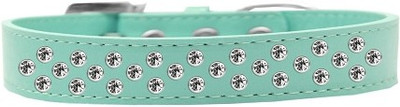 

Mirage Pet Products Dog Everyday Collar(, Aqua