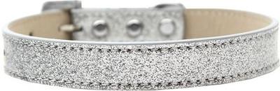 

Mirage Pet Products Dog Everyday Collar(, Silver