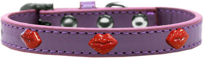 

Mirage Pet Products Dog Everyday Collar(, Lavender