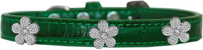 

Mirage Pet Products Dog Everyday Collar(, Emerald Green