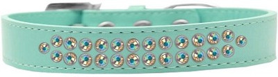 

Mirage Pet Products Dog Everyday Collar(, Aqua