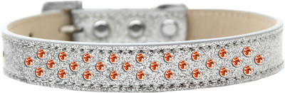

Mirage Pet Products Dog Everyday Collar(, Silver