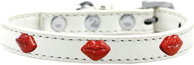

Mirage Pet Products Dog Everyday Collar(, White