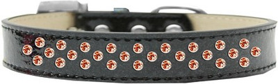 

Mirage Pet Products Dog Everyday Collar(, Black