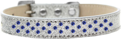 

Mirage Pet Products Dog Everyday Collar(, Silver