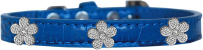 

Mirage Pet Products Dog Everyday Collar(, Blue