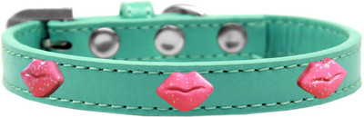 

Mirage Pet Products Dog Everyday Collar(, Aqua