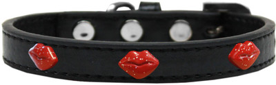 

Mirage Pet Products Dog Everyday Collar(, Black