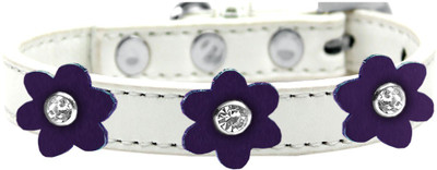 

Mirage Pet Products Dog Everyday Collar(, Purple
