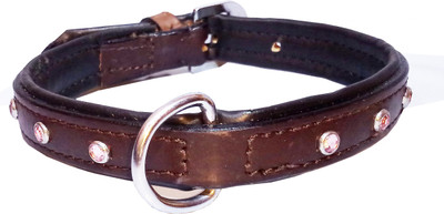 

Petshop7 Padded Leather Dog Collar with Stud 0.75" in -  (Neck Girth - 14.5-16.5 inch) Dog Everyday Collar(, Brown