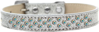 

Mirage Pet Products Dog Everyday Collar(, Silver