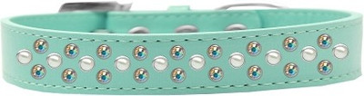 

Mirage Pet Products Dog Everyday Collar(, Aqua
