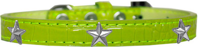 

Mirage Pet Products Dog Everyday Collar(, Lime Green