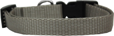 

Mirage Pet Products Dog Everyday Collar(, Silver