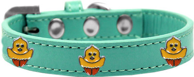 

Mirage Pet Products Dog Everyday Collar(, Aqua