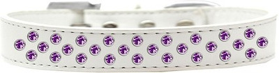 

Mirage Pet Products Dog Everyday Collar(, Purple