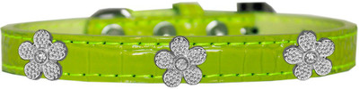 Mirage Pet Products Dog Everyday Collar(, Lime Green