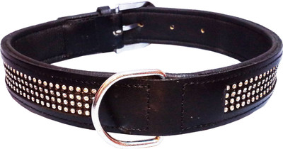 

Petshop7 Export Quality Genuine Leather Dog Collar with Beautiful Diamond Studs 1.50" in - Xtra Large (Any One) Dog Everyday Collar(, Black