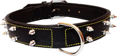 

Petshop7 Export Quality Genuine Leather Dog Collar with Spiked Studs 1.50" in - Xtra Large (Any One) (Black) Dog Everyday Collar(, Black