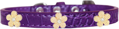 

Mirage Pet Products Dog Everyday Collar(, Purple