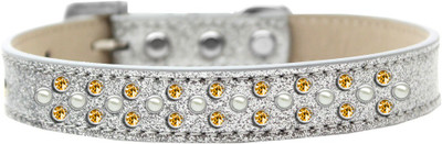 

Mirage Pet Products Dog Everyday Collar(, Silver